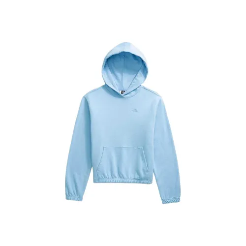 THE NORTH FACE Женская Better Terry Hoodie Толстовка Женская Синяя