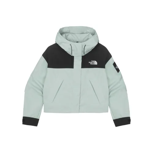 THE NORTH FACE Vaiden Куртки и Пальто Женские Мятно-Зеленый