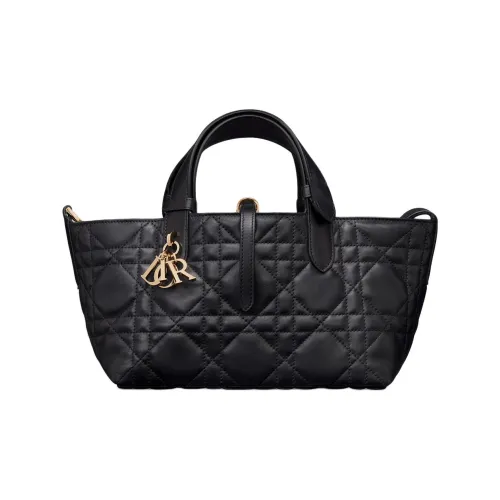 DIOR Toujours Коровья кожа Native Сумка Маленькая Женская Черная