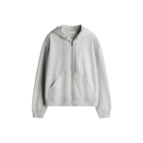 H&M Смешанный светло-серый Женские Свитшоты