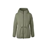 Кедр Зеленый