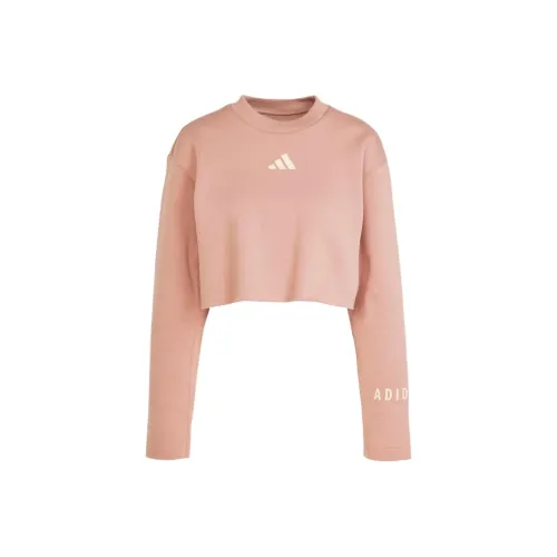 adidas clothing Розовые Женские Свитшоты