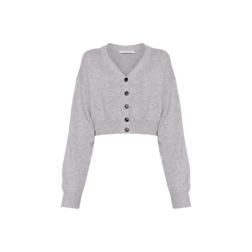 Alexander Wang Трикотаж Женский Серый