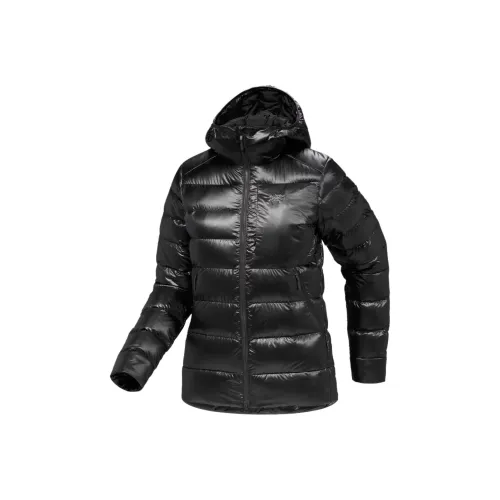 Arcteryx CERIUM SV Down Jacket Women's