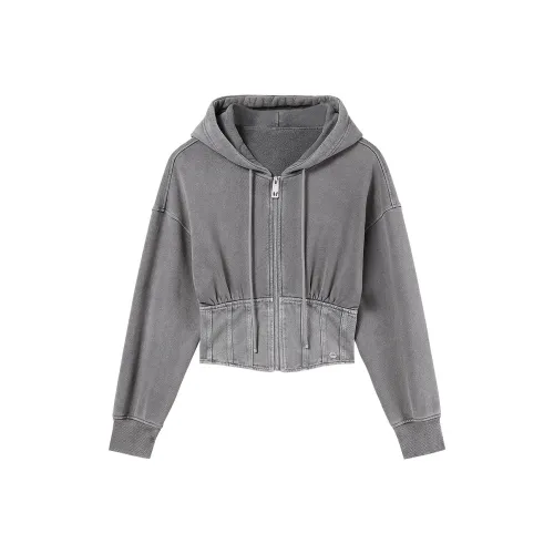 Miss Sixty Женские Свитшоты