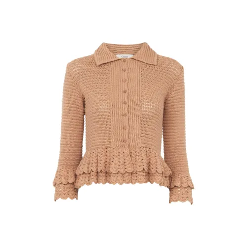 Chloé Коричневый Женский Трикотаж