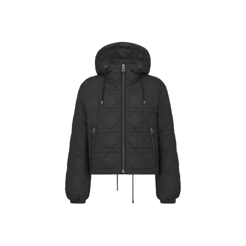 DIOR Dioralps FW23 Пуховая куртка Женская Черная