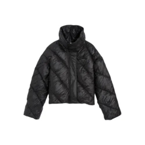 BEBE Черные Женские Пуховики