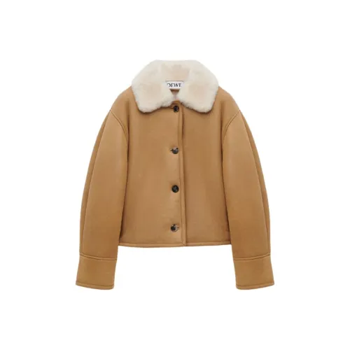 LOEWE Куртки и Пальто Женские CAMEL