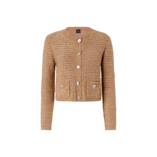 PINKO Коричневый Женский Трикотаж