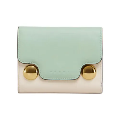 Marni Trunkaroo Телячья кожа Кошелек Женские Кремовый и Светло-зеленый