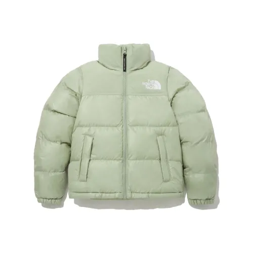 The North Face Зеленые Женские Объемные Куртки (Пуфы)
