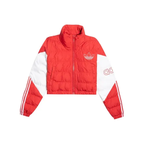 adidas originals Красный Женские Объемные Куртки (Пуфы)