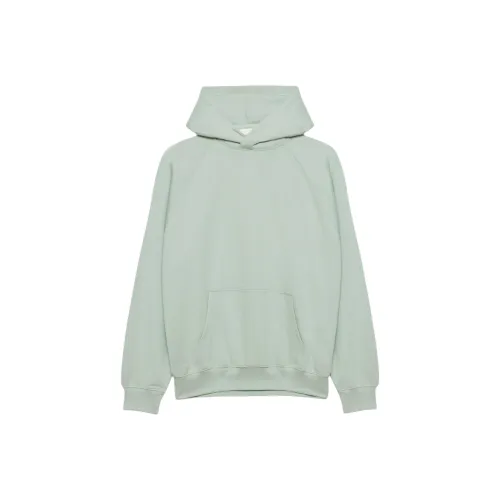 Aritzia Махровый Sweatfleece Mega RaglanTM Толстовка Толстовка Женские Terrace Шалфейный