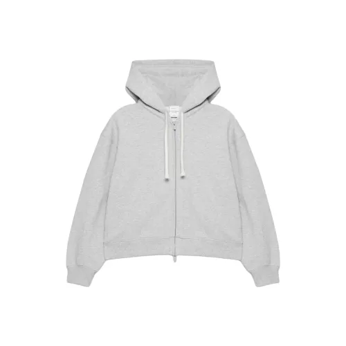 ARITZIA Cozy Sweatfleece Boyfriend Контрастный ZIP UP Толстовка Женская Heather Chrome