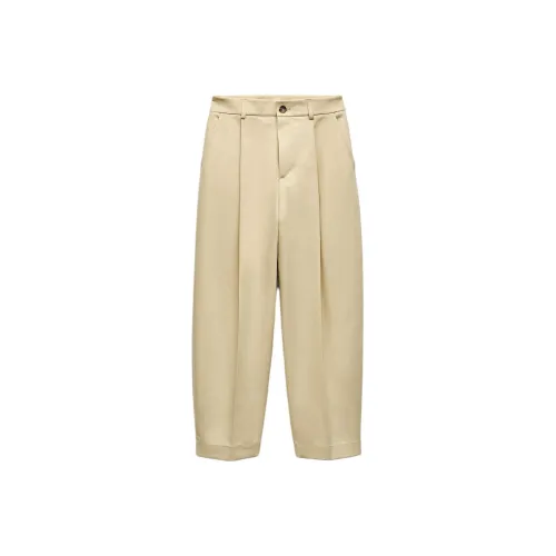 ZARA ZW Series Коричневые Женские Повседневные Брюки
