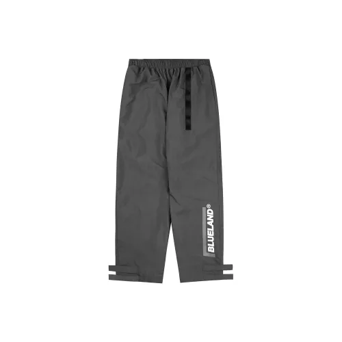 BLUELANDINC Штаны с манжетами Умеренный Тренировочные брюки Женские Темно-серый