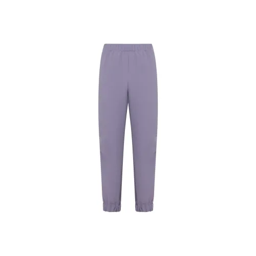 DRIES VAN NOTEN Фиолетовые Женские Повседневные Брюки