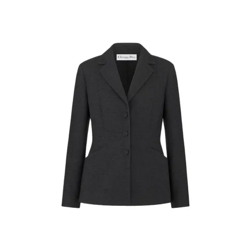 DIOR FW24 Бизнес-костюм Пальто Женское Черное
