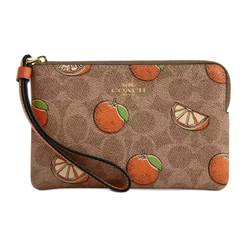 COACH Покрытый холст клатч маленький женский коричневый и многоцветный