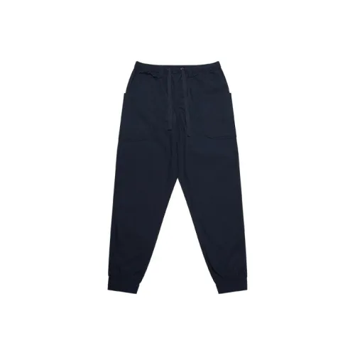 Dickies FW22 Повседневные брюки Женские Темно-синий