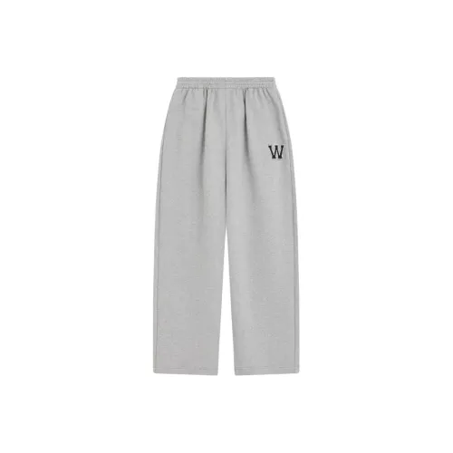 WE11DONE FW24 Повседневные брюки Женские Серый