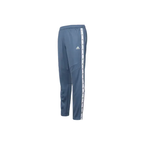Adidas CF Montreal Синие Женские Вязаные Тренировочные Брюки