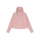 Розовый цвет бегонии