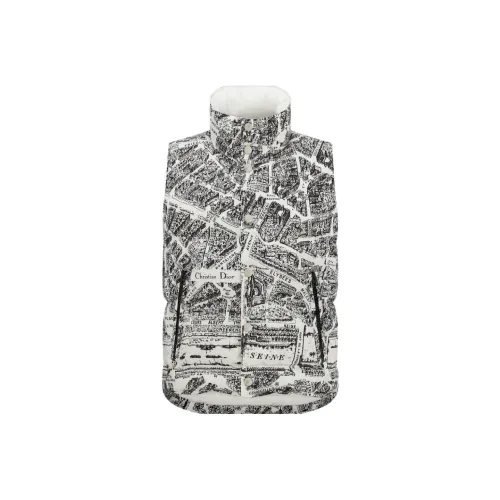 DIOR FW23 Хлопковый пуховик Женский Многоцветный