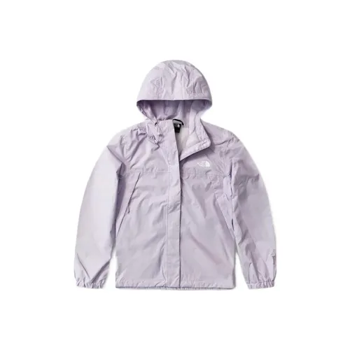 THE NORTH FACE Поход Водонепроницаемый и Теплый Ветровка Женская Фиолетовая