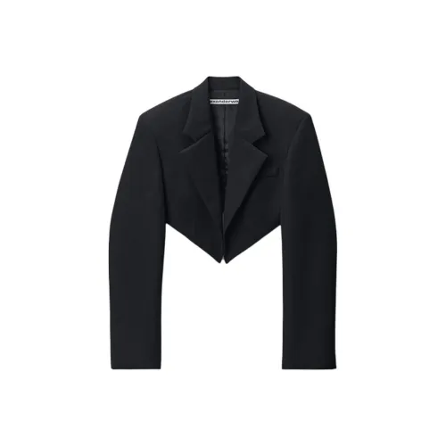 Alexander Wang FW24 Бизнес-костюм женский черный