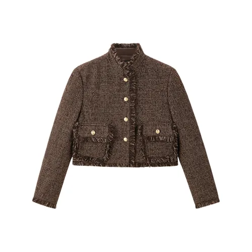 PEACEBIRD Cropped Jacket Women's Brown