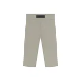 Серый тюлень