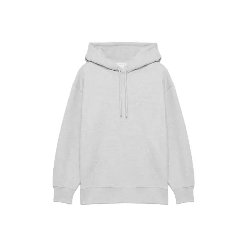 ARITZIA Cozy Sweatfleece Boyfriend Hoodie Hoodie Women's Heather Chrome