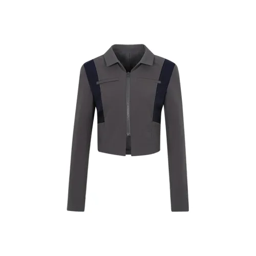 ASW ONLINE Серое Женское Короткое Пальто