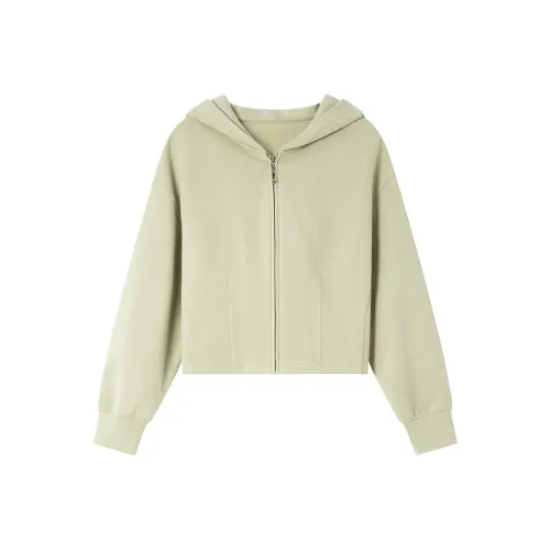 VIMLY Cropped Jacket Women's Light Khaki