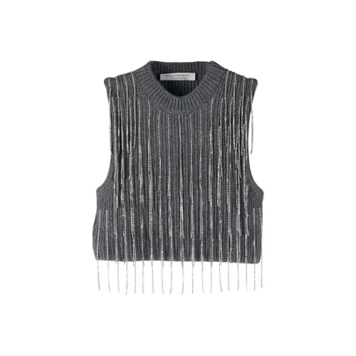 PHILOSOPHY DI LORENZO SERAFINI FW22 Жилет Женский Серый