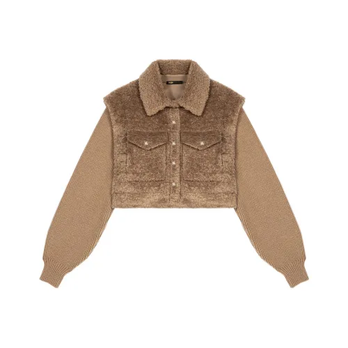 Maje Коричневый Женское короткое пальто