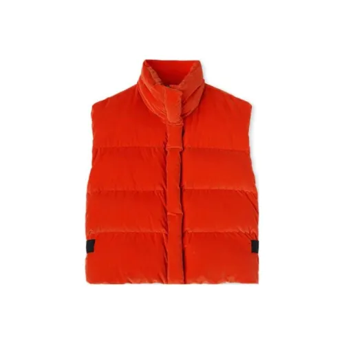 Жилет MSGM PADDED VEST с 'Цветение Hallucination' Мастерство Жилет Женские Апельсин