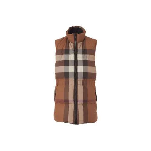 Burberry FW21 Жилет Женские Коричневый