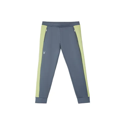 SPYDER Тренировочные брюки Женские Темно-серый