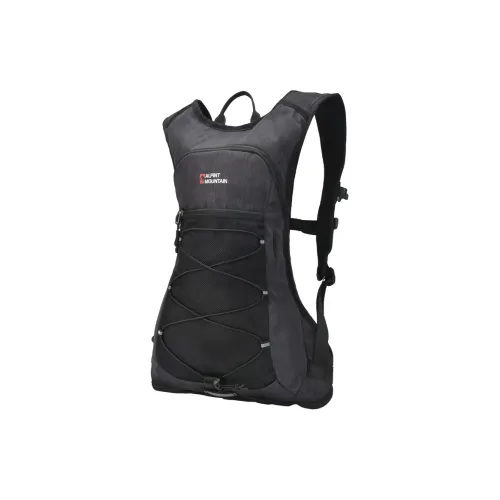 ALPINT MOUNTAIN Туристические сумки Полиэстер Темно-серый Светло-серый Унисекс