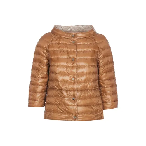 HERNO Down Jacket Women's Brown