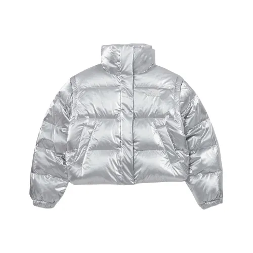 THE NORTH FACE W's глянцевый Dt пуховик пуховые куртки и зимние пальто Женское серебро
