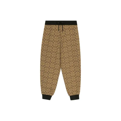 COACH Повседневные брюки Женские Коричневый