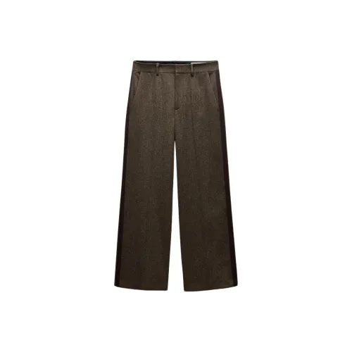 ZARA ZW Series Коричневые Женские Повседневные Брюки