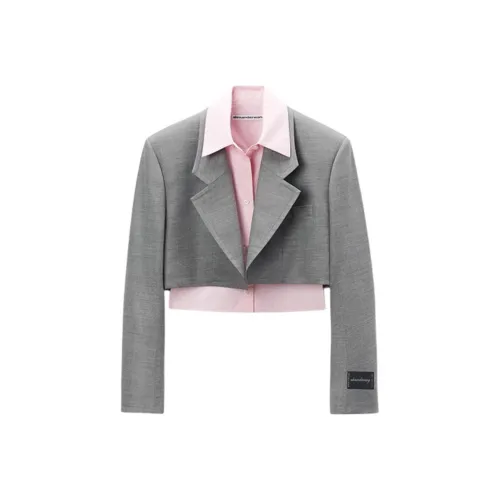 Alexander Wang FW24 Бизнес-костюм Женский Светлый Фотиния Серый