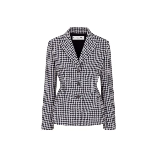 DIOR FW23 Бизнес-костюм Пальто Женское Многоцветное