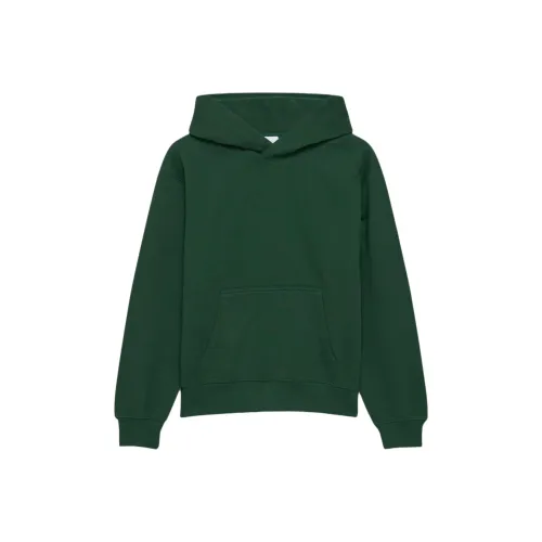 Aritzia Cozy Sweatfleece Perfect Hoodie Sweatshirt Women's Stonepine Green