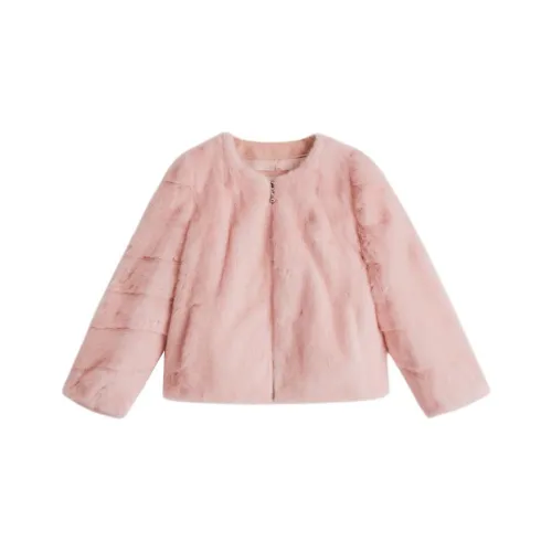 OBBLIGATO Cropped Coat Women's Light Pink